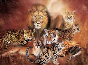 Animals  