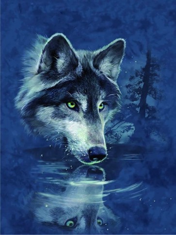 Wolf  