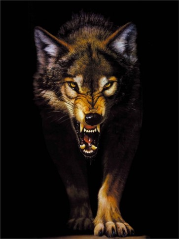 Wolf Dark  