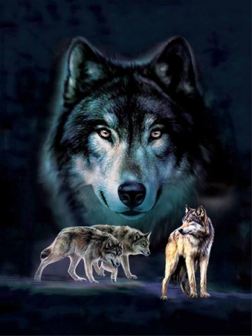 Wolf  