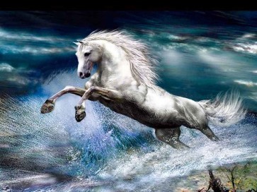 Unicorn  