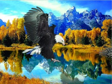 Eagle  