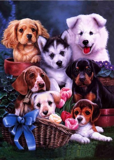 Dogs  