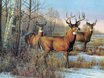 Caribous  