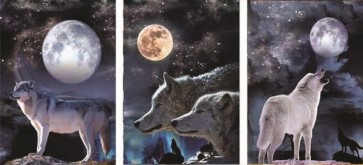 Wolf and the moon  