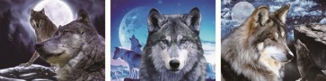 Wolf Pack 