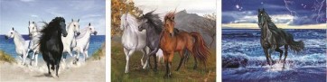 Horses  