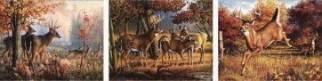 Caribous  
