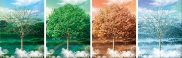 Four seasons  