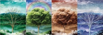 Four seasons  
