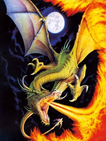 Fire Dragon  