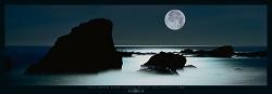 Sea Night  