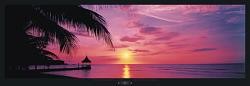 Tropical Sunset  