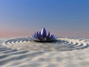 Zen Garden I 