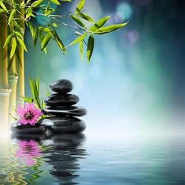 Tower Black Stone and Hibiscus 