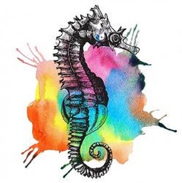 Hippocampus 