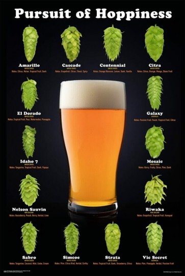 Pursuit Of Hoppiness