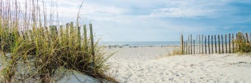 Luis Bond - Path to the Beach - Dunes and Sea Oats