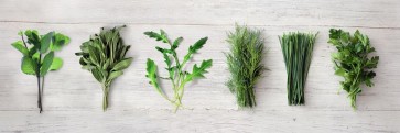 Herbs - Kitchen