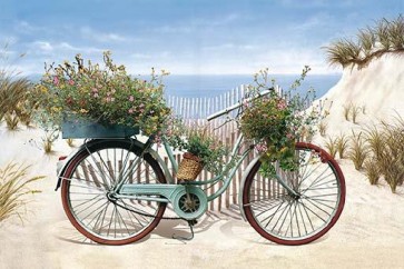 Bicycle - Afternoon at the Beach
