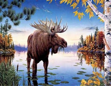 Moose - Fall at the Lake
