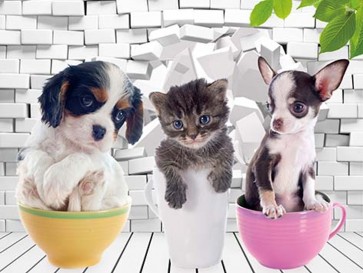 Pups In Cups