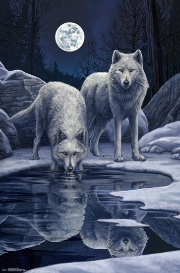 Lisa Parker - Warriors of Winter