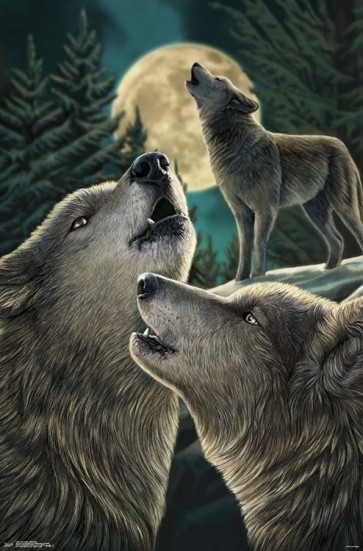 Lisa Parker - Wolf Song