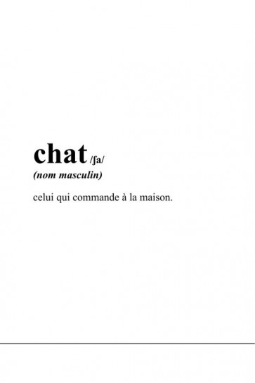 Définition - chat