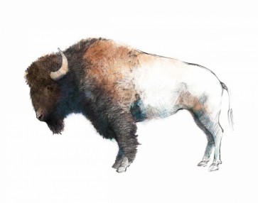 Avery Tillmon - Colorful Bison Dark Brown