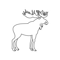 Line Art - Moose - Sketch