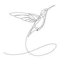Line Art - Humming Bird - About To Take Off