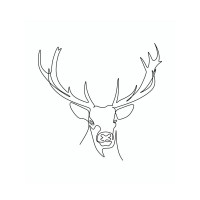 Line Art - Deer - Showing His Beautiful Antlers