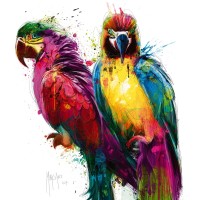 Patrice Murciano - Tropical Colors