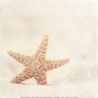 Carolyn Cochrane - Starfish