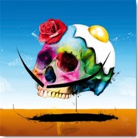Patrice Murciano - Surreal Skull  