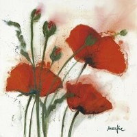Marthe - Common Poppy I