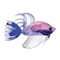 Margaret Berg - Purple Fish