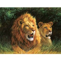 Lions  