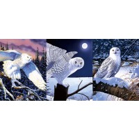 Owl - Winter 