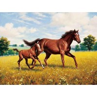 Horse Mother Love 