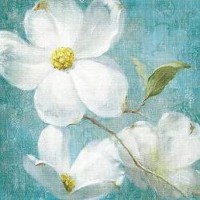 Danhui Nai - Indiness Blossom II