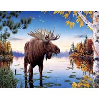 Moose - Fall at the Lake