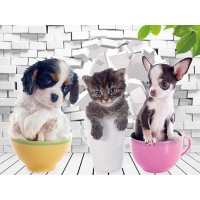 Pups In Cups