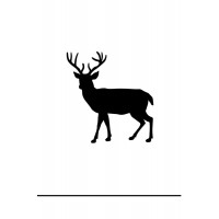 Silhouette - Deer