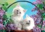 Cats in a Basket